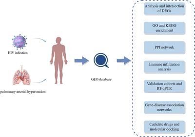 Identification and validation of CCL5 as a key gene in HIV infection and pulmonary arterial hypertension